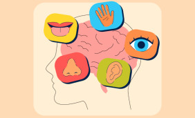 Breaking Down the EQ Emotional Intelligence Test